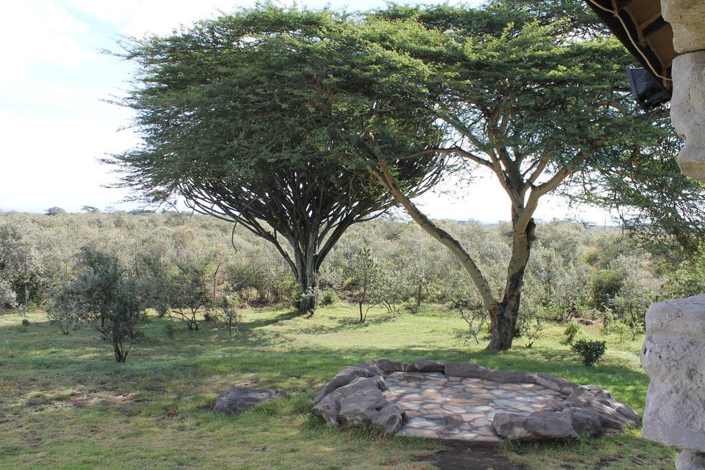 Shwari Cottages Naivasha Bagian luar foto